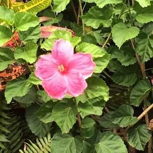 Meet your Posher, Terri